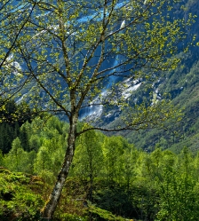 Norway. May