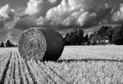 The last hay stack (Norfolk)